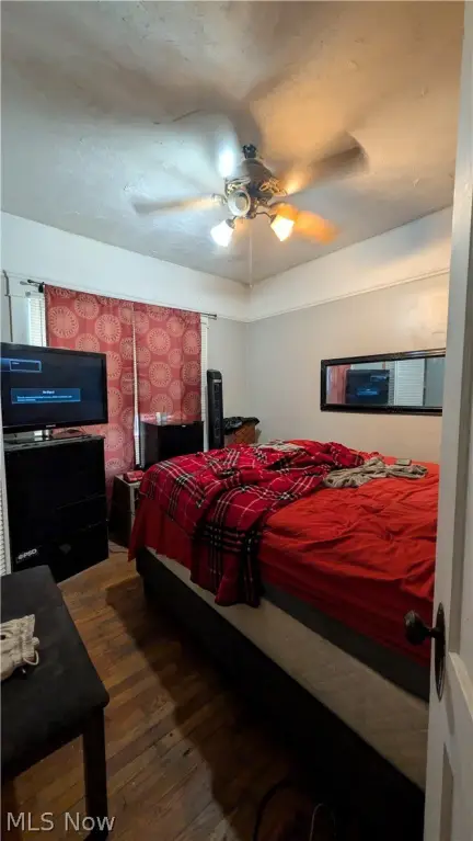 Picture 9