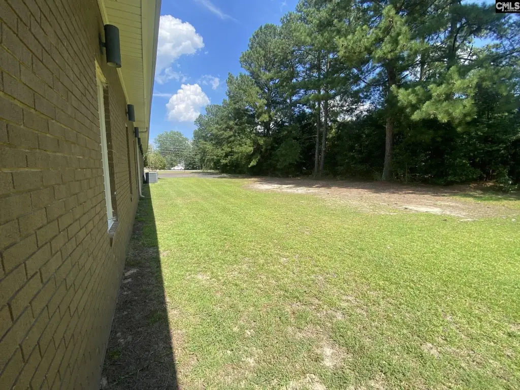 Picture 44