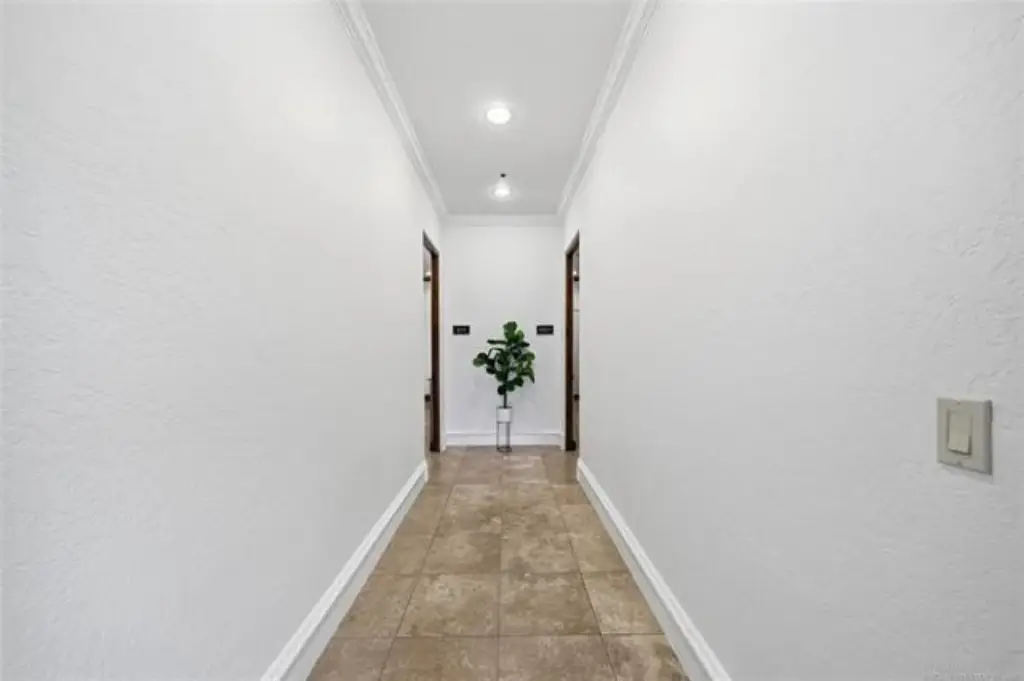 Picture 24