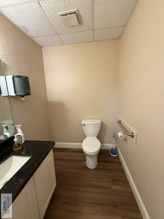 Picture 19