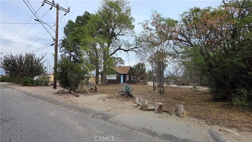 Picture 15