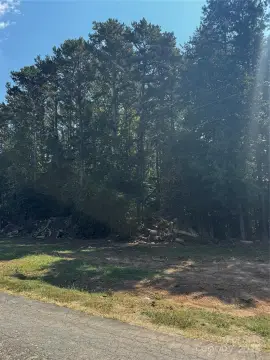 Wooded Lot in Kannapolis, NC