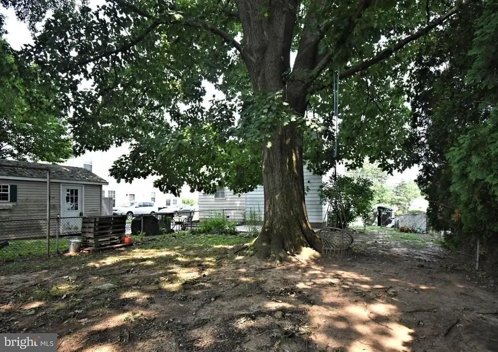 Picture 41