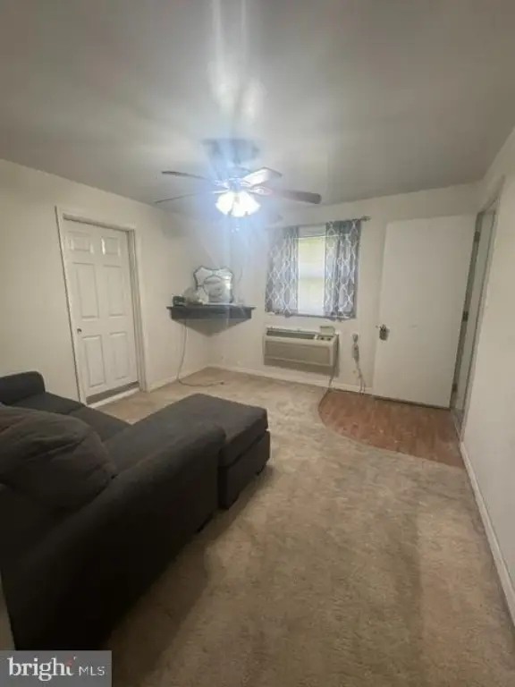 Picture 21