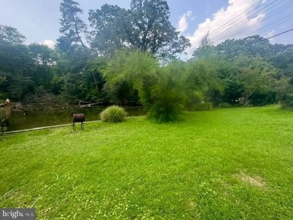 Picture 4