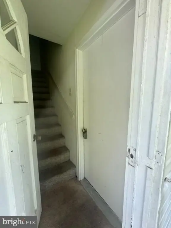 Picture 33