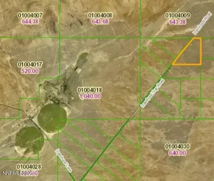 Nevada Land Parcel For Sale