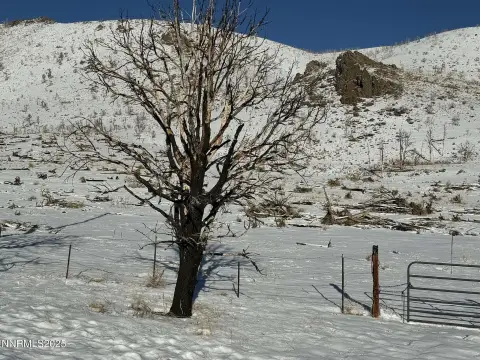 Gardnerville Land with Water Rights