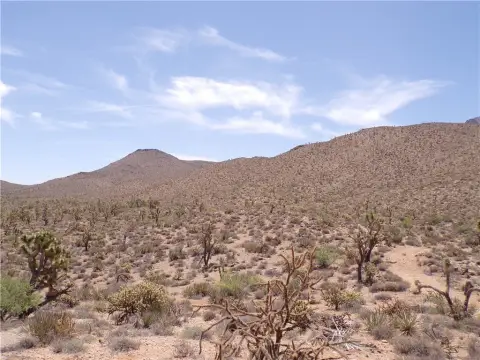 Dolan Springs Land For Sale