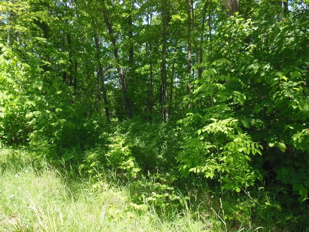 Picture 4