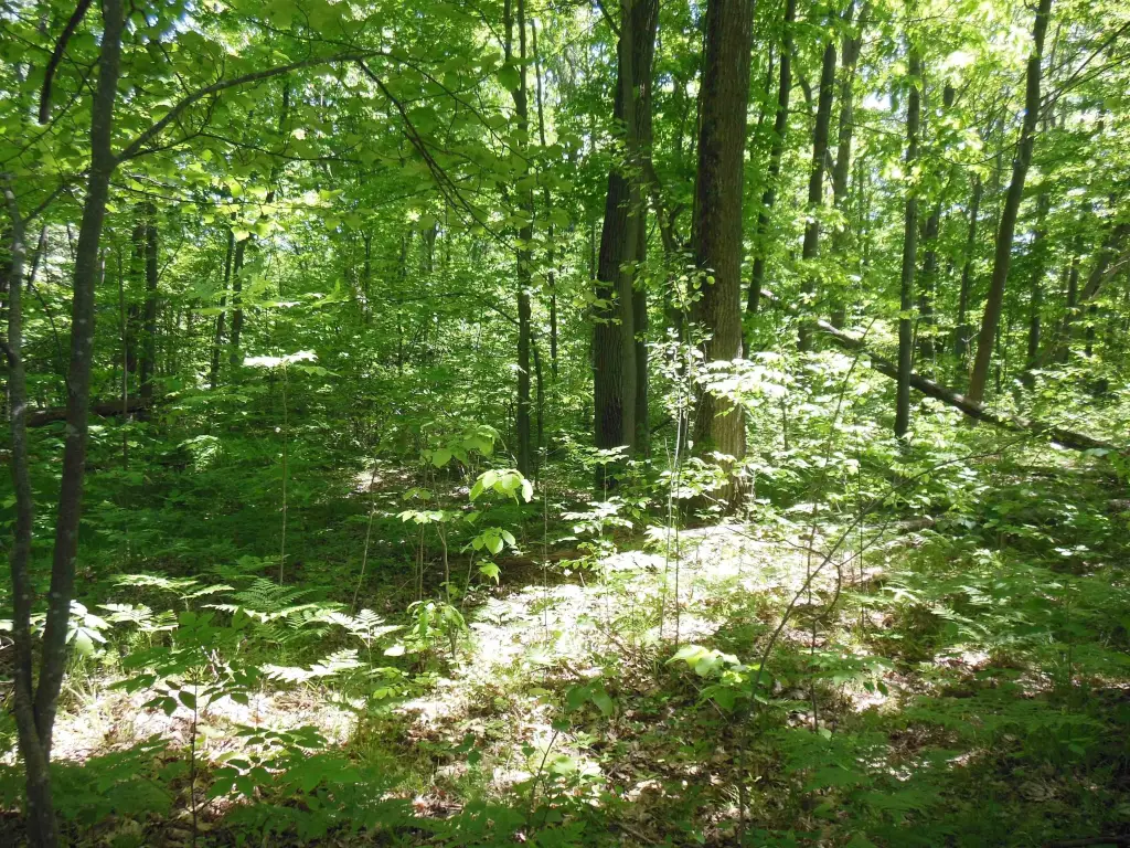 Picture 3