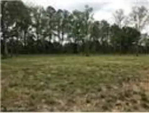 Residential Land in Centerpoint, LA