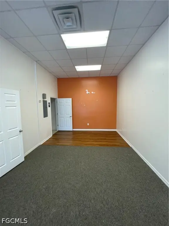 Picture 8