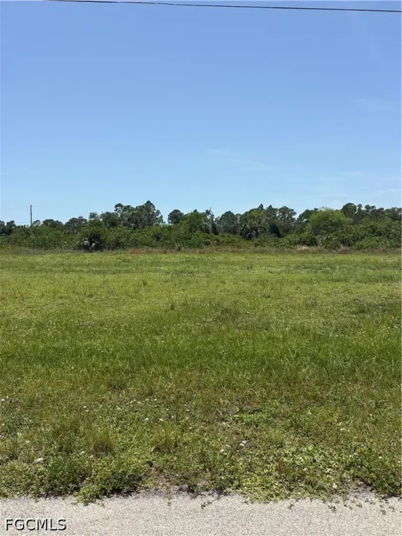 Picture 2