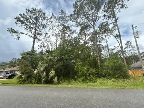 Wooded Lot in Palm Coast