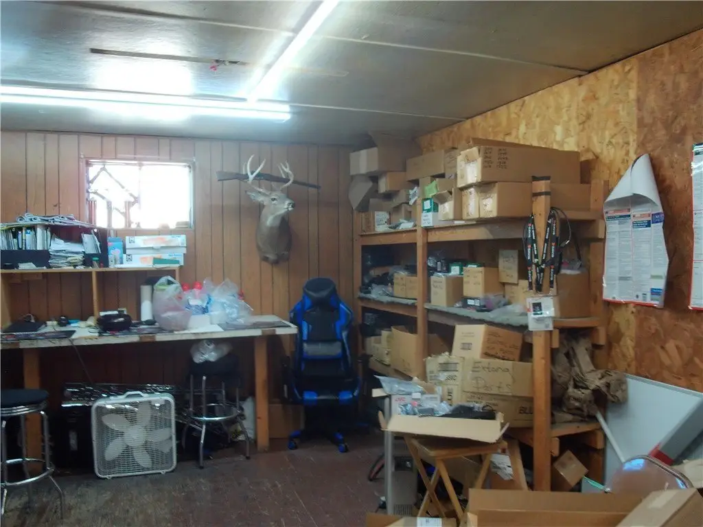 Picture 11