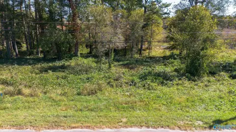 Residential Lot in Hazel Green