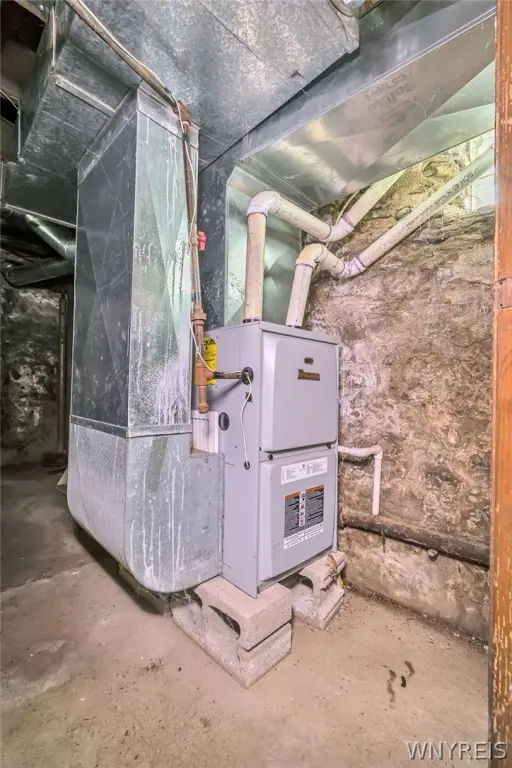 Picture 41