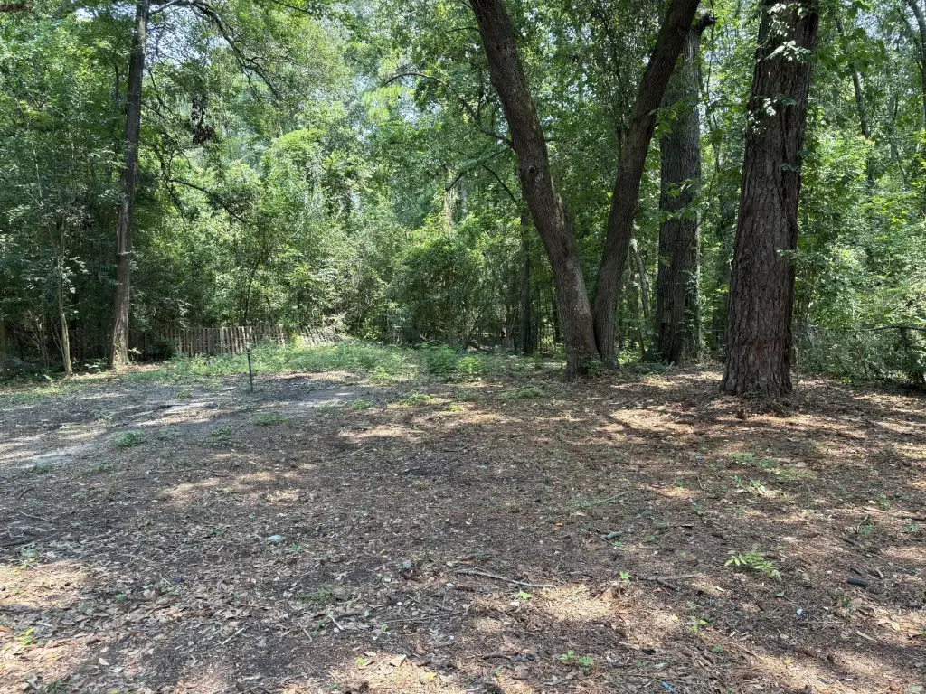 Picture 26