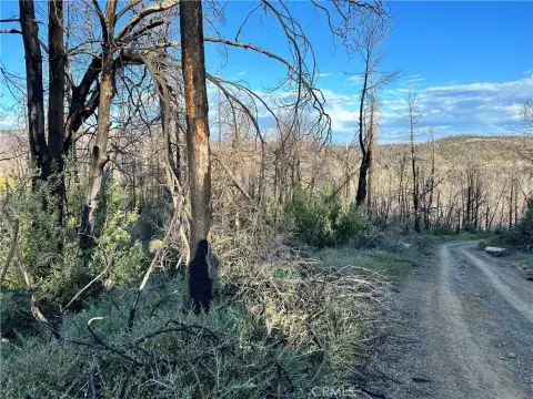 Berry Creek Vacant Land Parcel