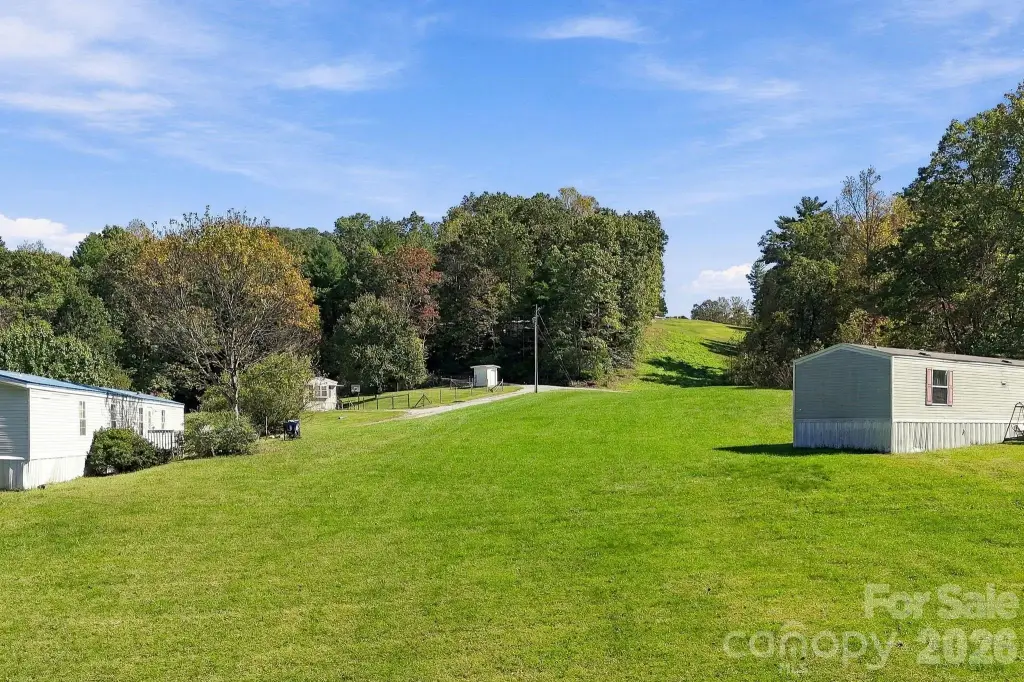 Picture 3