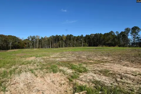 One-Acre Lot in Gold Nugget