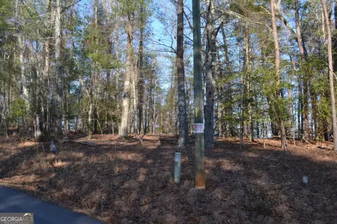 Wooded Land in Adairs Mill