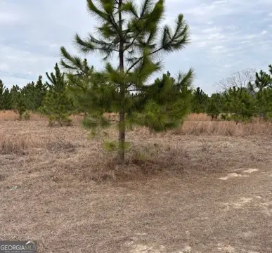 Tifton Industrial Land For Sale