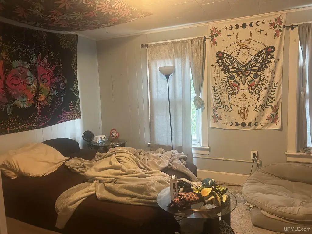 Picture 27