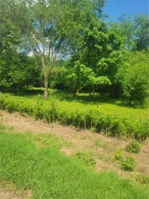 Picture 15