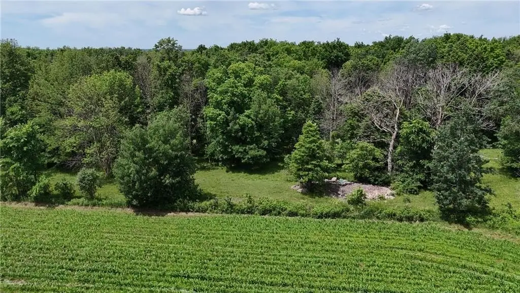 Picture 43