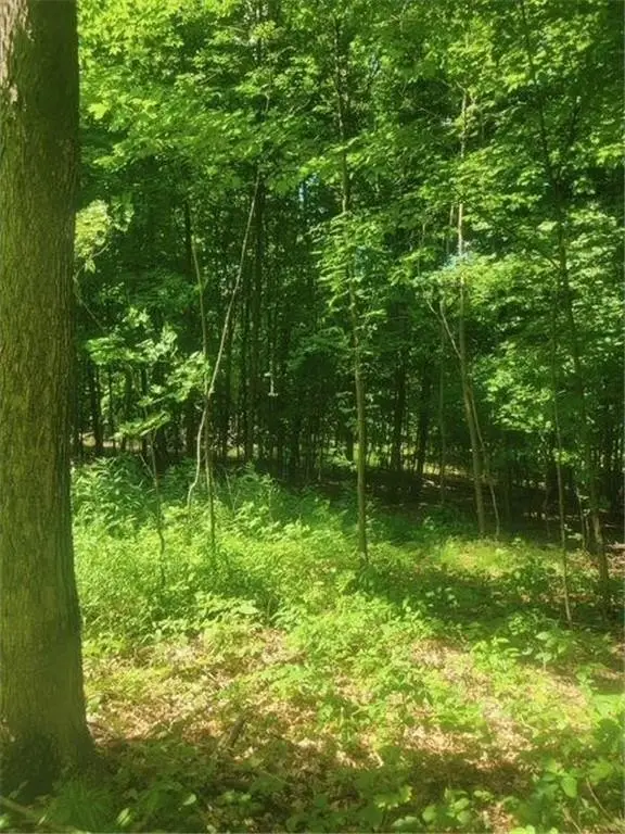 Picture 53