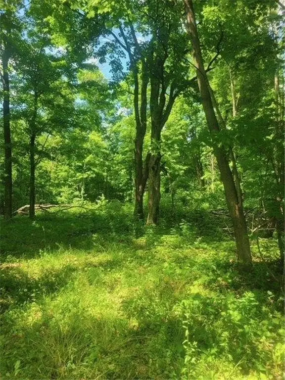 Picture 23