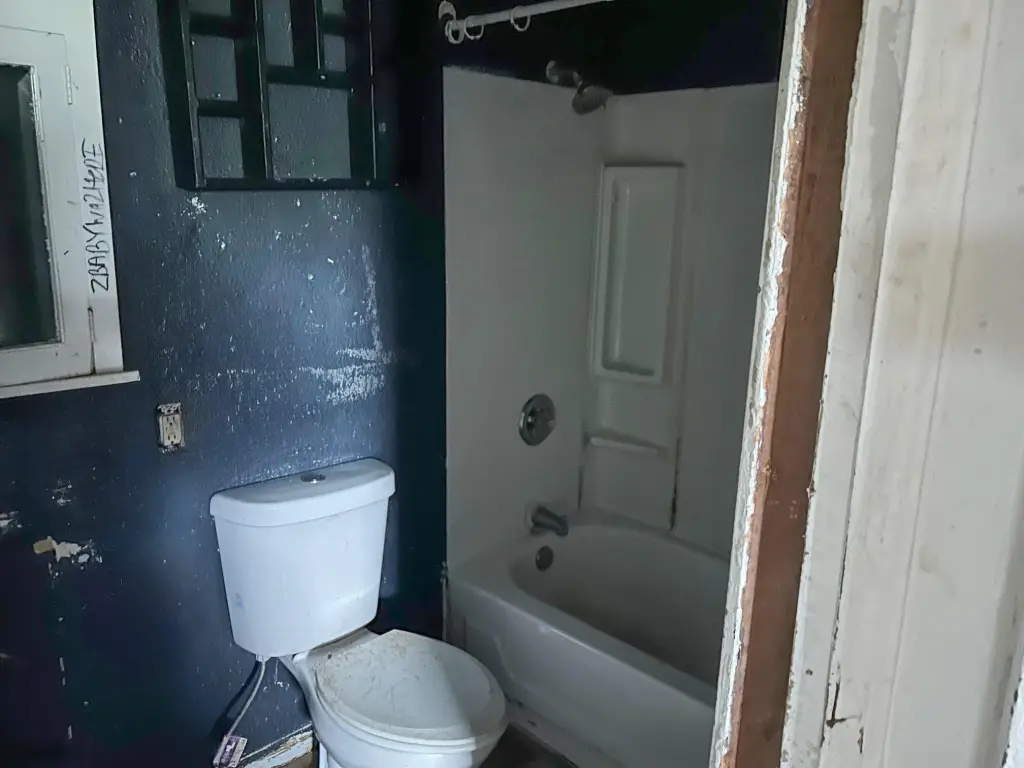 Picture 12