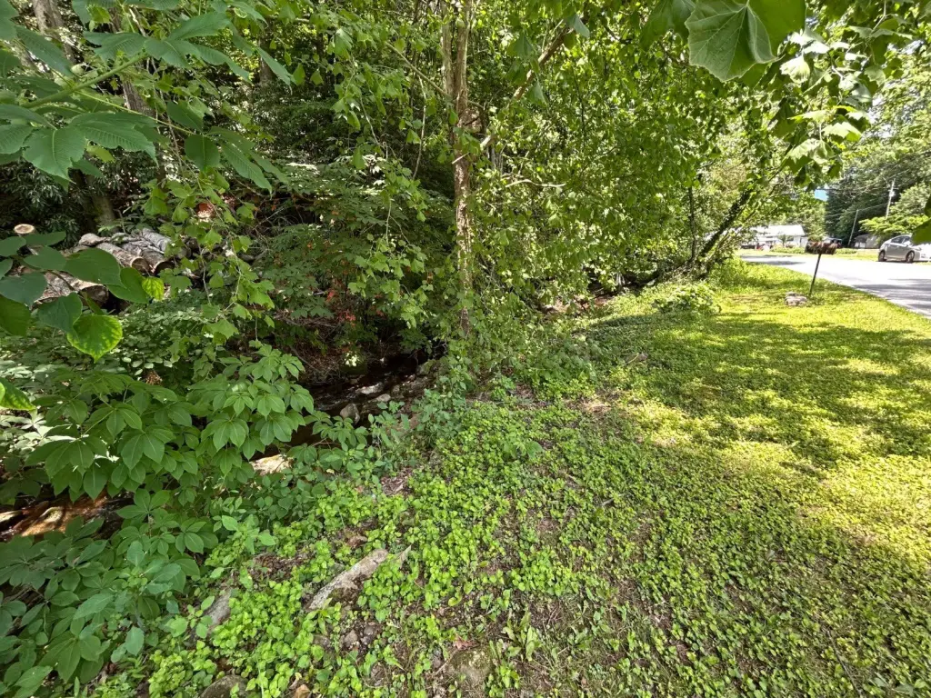 Picture 12