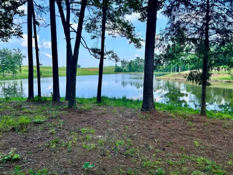 60 Acres of Alabama Land