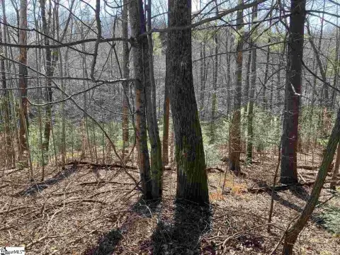 Landrum, SC Residential Lot