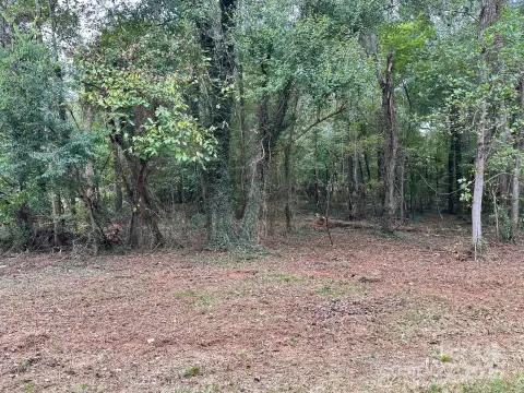 Wooded Lot in North Iredell