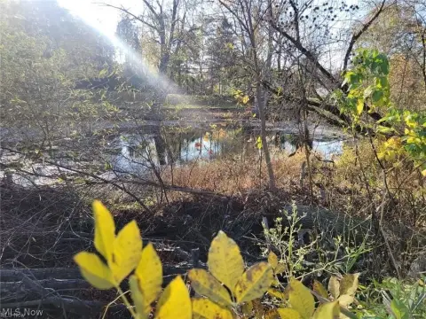 Riverfront Land Parcel in Elyria