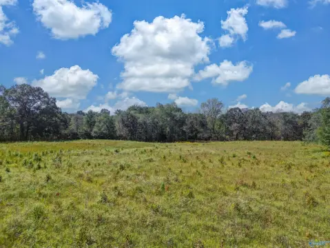 Horton, AL - 16 Acres