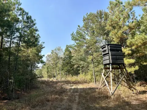 Columbus, MS Hunting Land