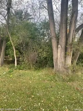 Wooded Land Near Reed Lake