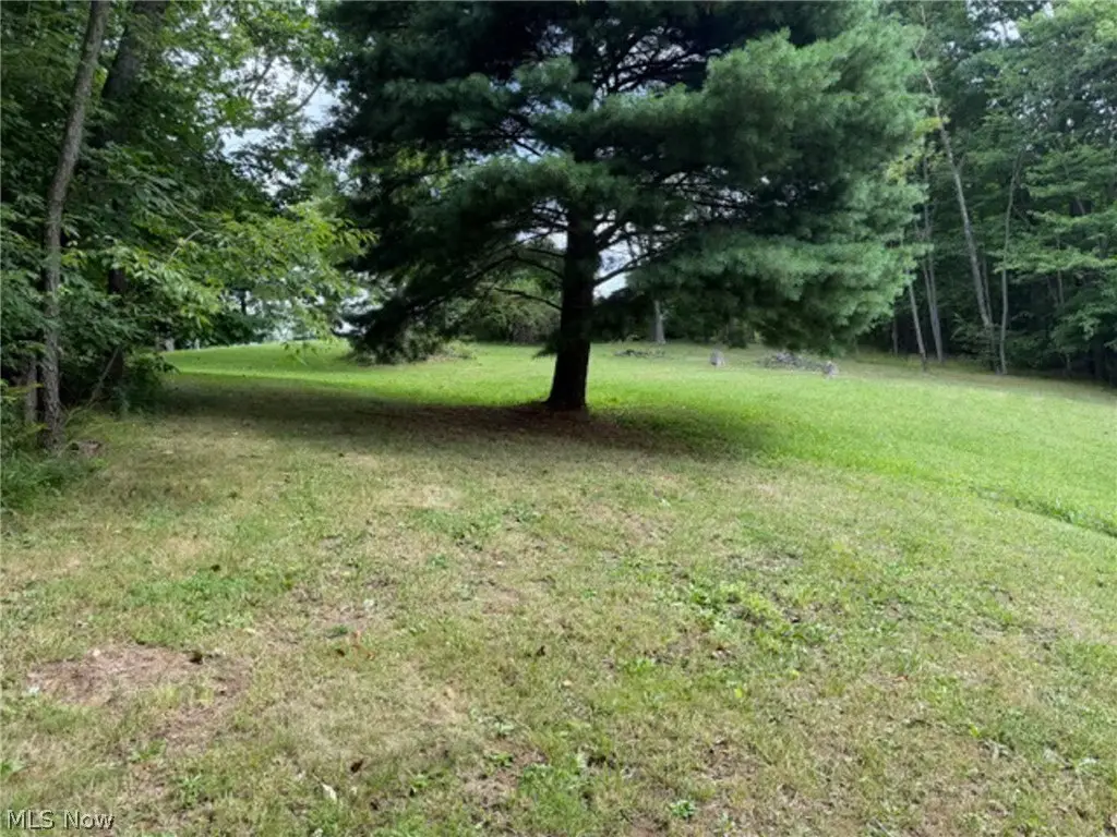 Picture 4