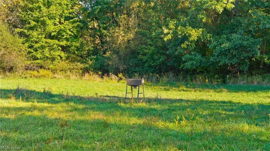 Picture 13