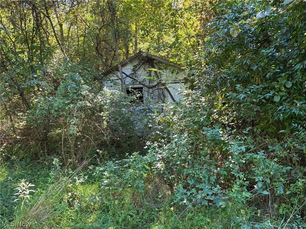 Picture 24