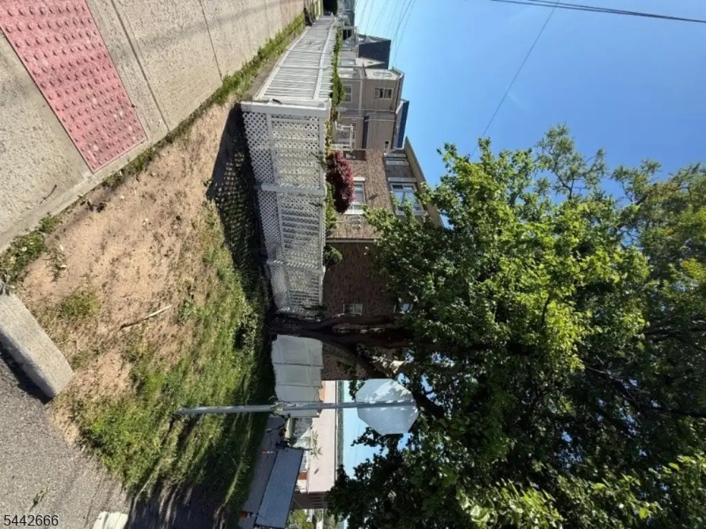 Picture 15