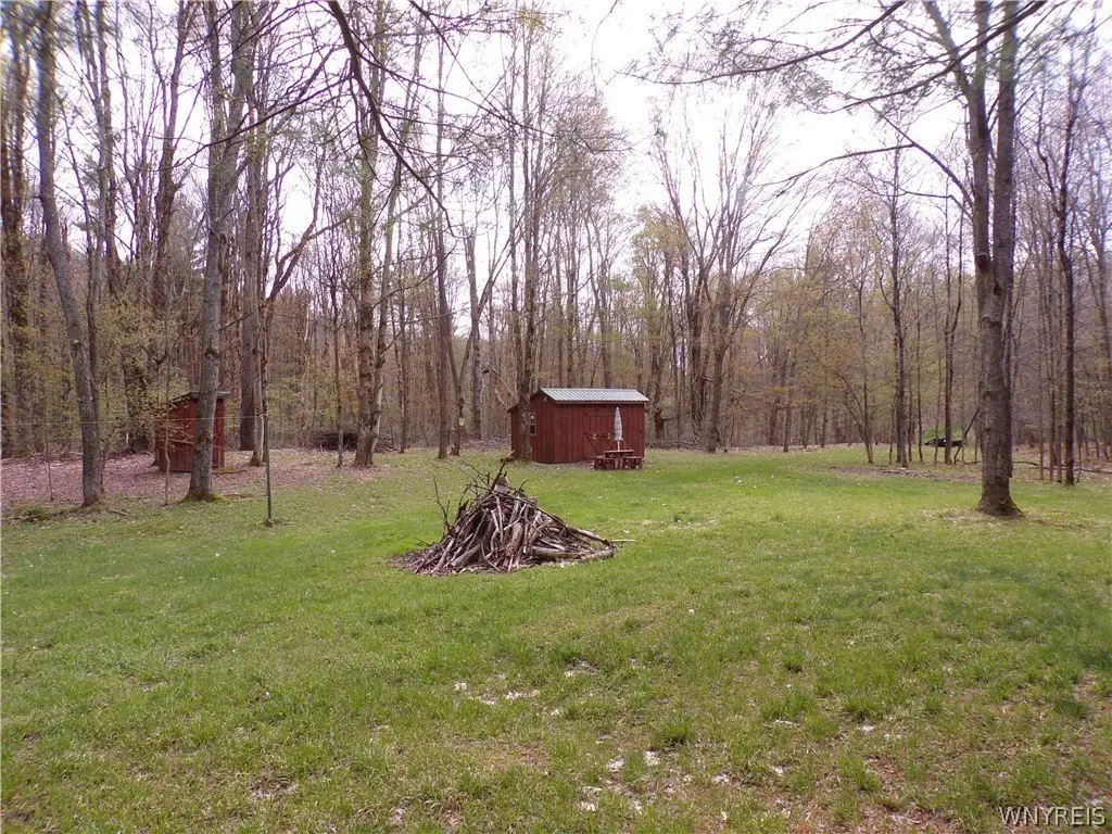 Picture 2