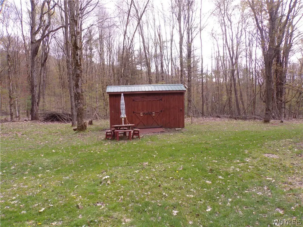 Picture 5