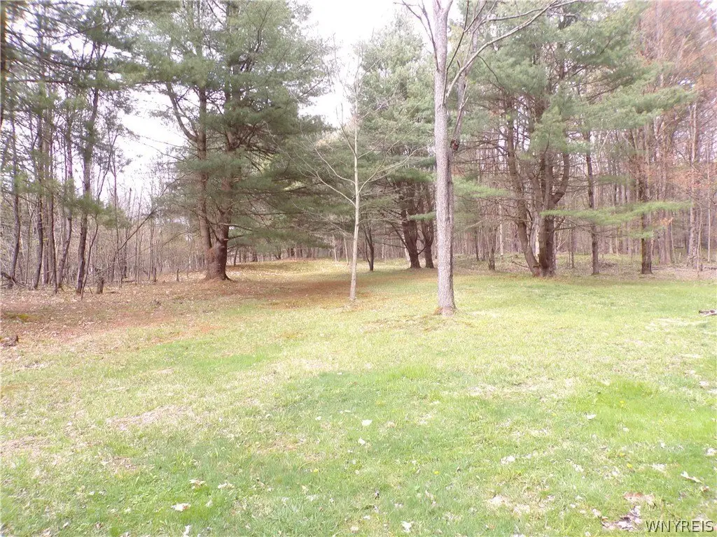 Picture 9