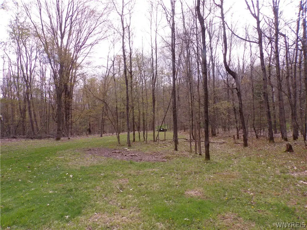 Picture 12
